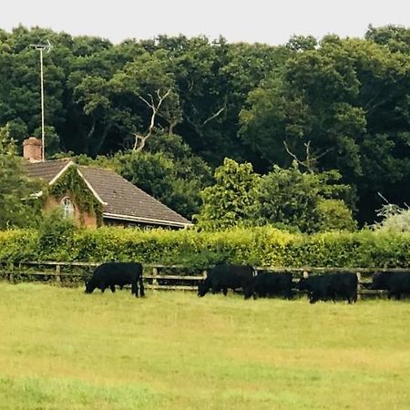 Yellowham Farm, Dorchester Higher Bockhampton 外观 照片