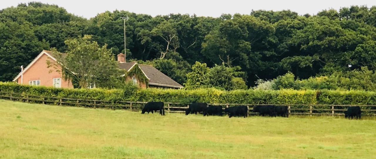 Yellowham Farm, Dorchester Higher Bockhampton 外观 照片
