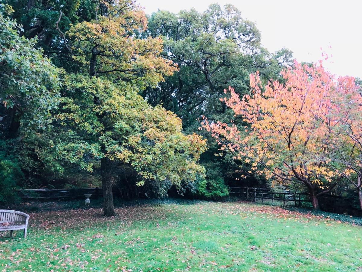 Yellowham Farm, Dorchester Higher Bockhampton 外观 照片