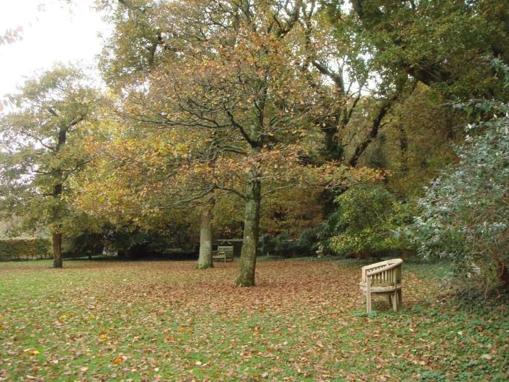 Yellowham Farm, Dorchester Higher Bockhampton 外观 照片