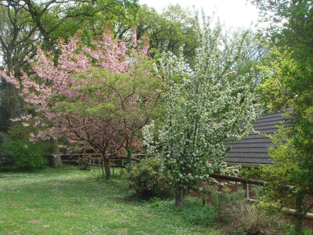Yellowham Farm, Dorchester Higher Bockhampton 外观 照片