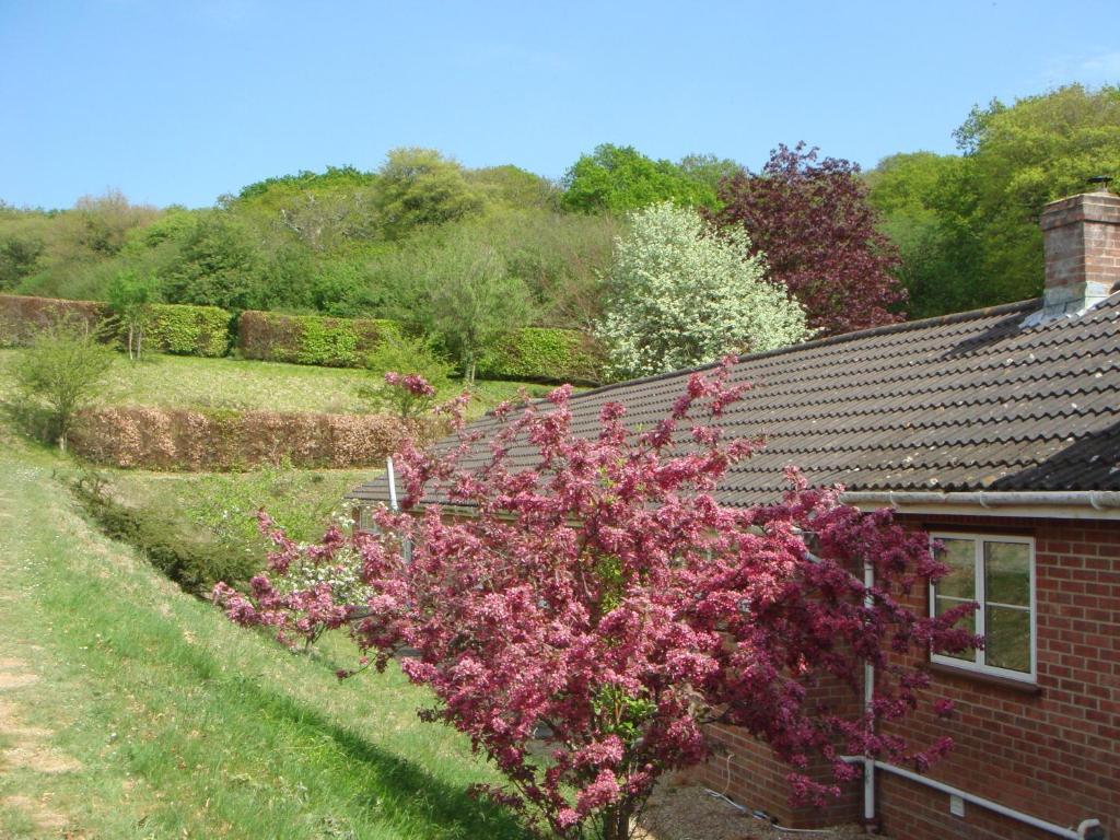 Yellowham Farm, Dorchester Higher Bockhampton 外观 照片